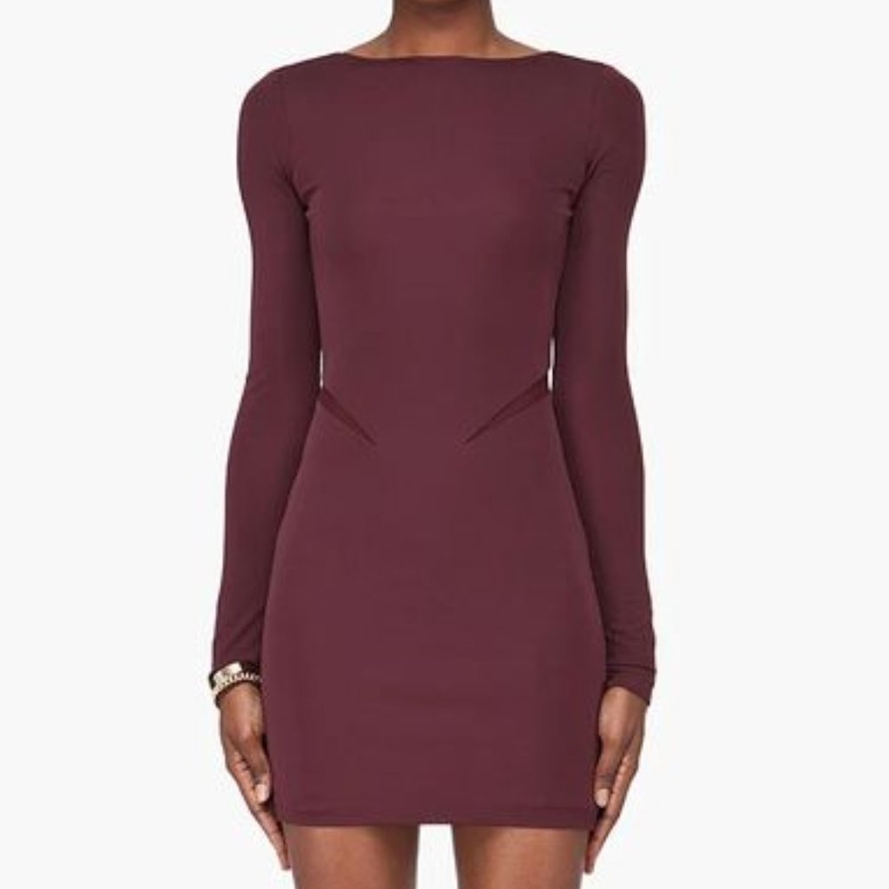 Alexander Wang Mesh Cutout Long Sleeve Dress